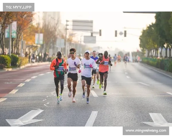 2024上海半程马拉松激情开跑万人齐聚申城挑战极限 2024上海半程马拉松激情开跑万人齐聚申城挑战极限