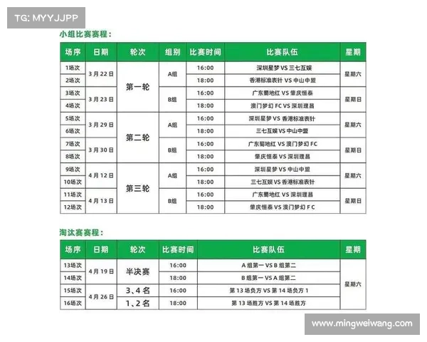 万众瞩目的大型拍球赛事全球顶尖高手齐聚一堂激烈角逐冠军荣誉