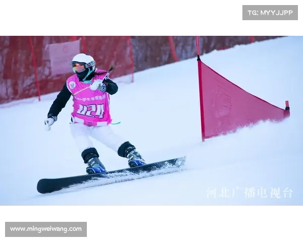国内重大滑雪赛事_国内重大滑雪赛事排行榜