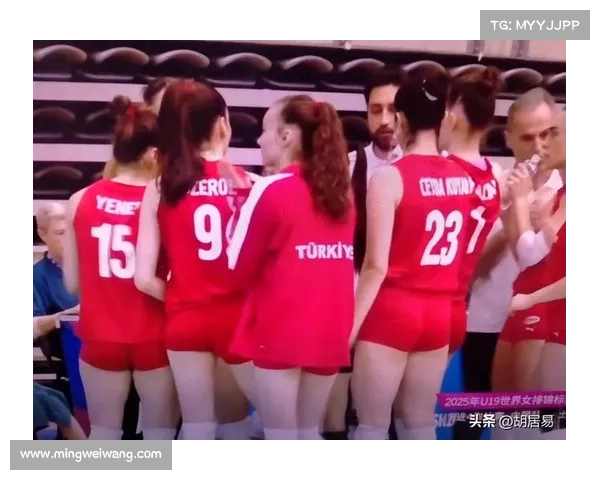 女排今晚赛事激情碰撞赛场风云变幻精彩无限