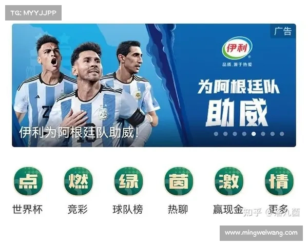 比赛快报怎么写,赛事快讯足球世界杯决赛法国点球大战胜阿根廷勇夺冠军