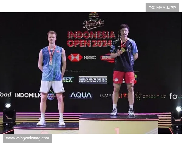 羽毛球城际赛事、羽毛球城际赛事有哪些