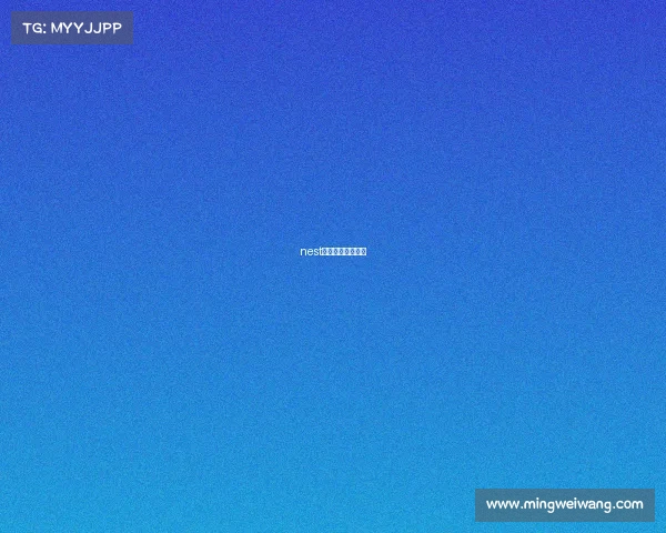 nest电子竞技大赛冠军