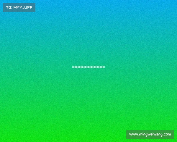 《电竞职业技能认证：开启你的职业选手新征程》