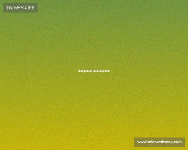 宋明电子竞技国家队;宋明电子竞技国家队名单