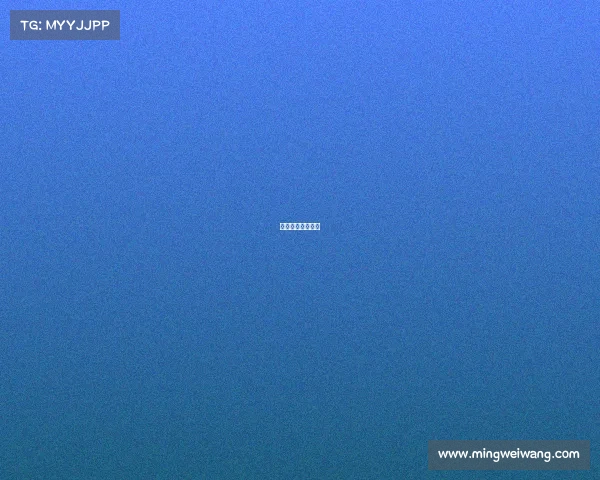 电子竞技资质证书